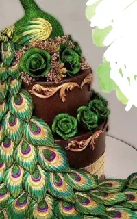 اجاره سینی حنا