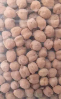 فروش نخود و عدس