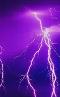 برقکار ساختمان.دوربین مداربسته. دزدگیر اماکن