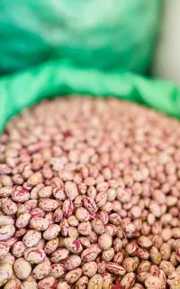 حراج لوبیا چیتی خمین به شرط پخت
