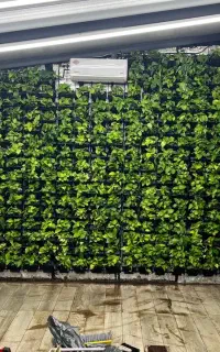 خدمات فضای سبز و نگهداری گیاهپزشکی و هرس