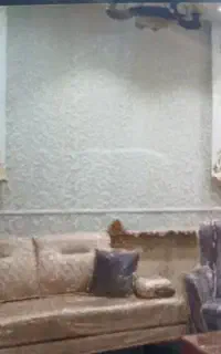 پرده زبرا