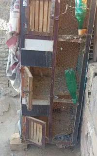 جفتگاه کبوتر