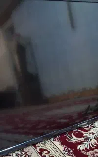 تلویزیون ایکس ویژن