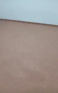 موکت