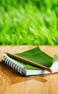 تدریس ریاضی