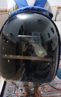 کوله پشتی عروس هلندی
