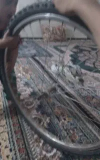تیوت سالم