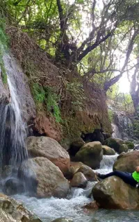 تور یک روزه 25 اردیبهشت جنگل پسیل (چناران)
