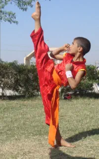 آموزش ووشو شائولین