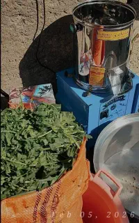 سبزی خوردکن