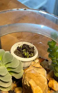 همکاری در کافه