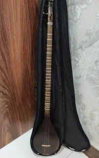 سه تار مهدی مفاخری نو