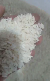 برنج تایلندی و حبوبات کالابرگ