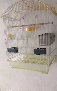 فروش قفس