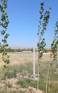 زمین ۱۰۰۰متر معاوضه با ماشین