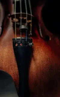 گروه موسیقی