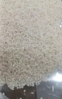 نیم دانه لاشه هاشمی  باب خانه درجه ۱