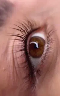 بهترین رنگ و مواد را فقط از ما بخواهید