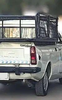 راننده پیکان وانت کفی دار