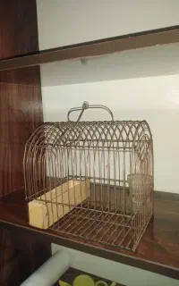قفس پرنده سایز کوچک