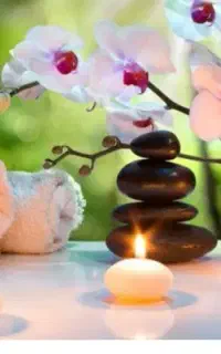 لیزر ژل‌ بوتاکس حجامت ماساژ بادکشPRP PRF مزو فشیال