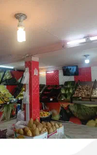 واگذاری میوه فروشی