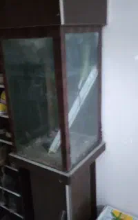 آکواریوم ایستاده جهت شرکت‌ها اداره مغازه وغیره