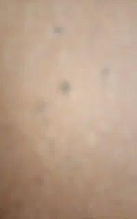 فروش سیم کارت کد 09125758