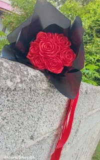 گل روبانی