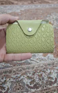 پیدا شده