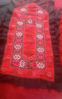زیو استین