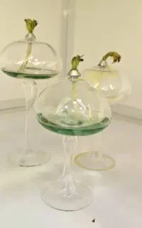 انواع شمع پیرکس