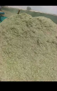 کاه یونجه