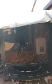 جفتگاه کبوتر