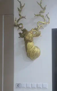 کله گوزن