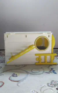 لانه عروس هلندی