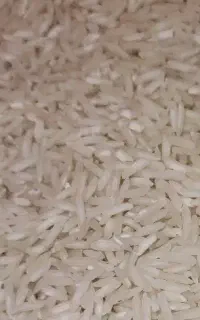 برنج هاشمی درجه یک گیلان