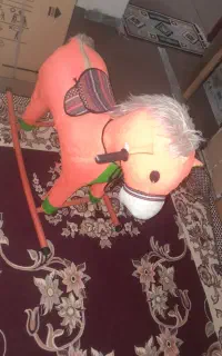 اسب فروشی
