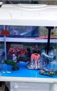 آکواریوم آکوا