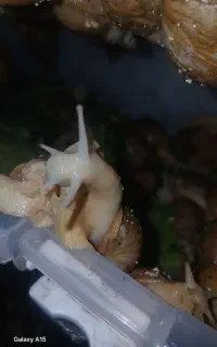 ۲۰ تا ۲۵۰