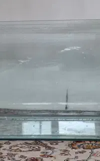 آکواریوم ماهی