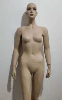 دو عدد مانکن زنانه