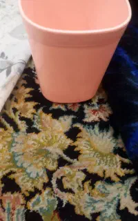 اشیا گم شده