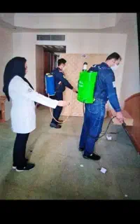 سمپاشی تضمینی جیحون رودکی بریانک استادمعین