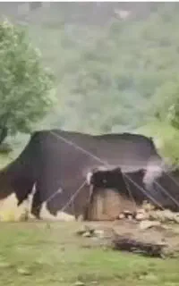 سیاه چادر عشایری