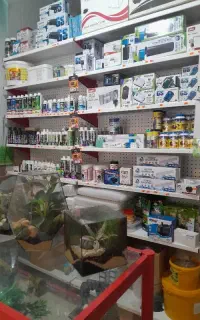آکواریوم برکه سبز