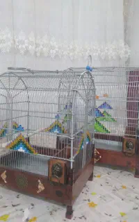 قفس سهره دست بافت نو