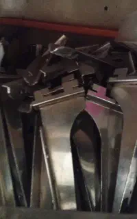 رگال
