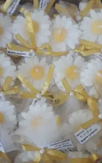 گل شمع بابونه فقط ۲۶